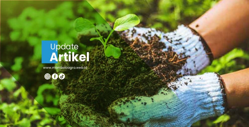 PT MANDALA AGRO MAS Artikel1