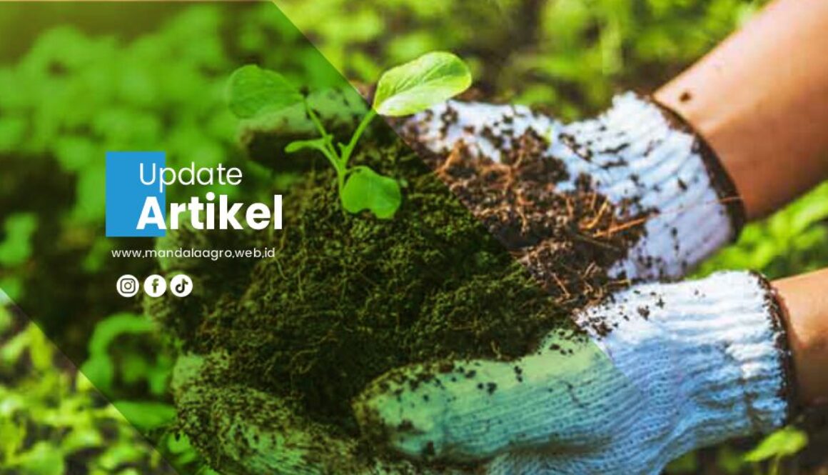 PT MANDALA AGRO MAS Artikel1