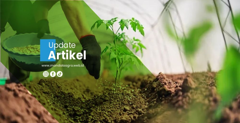 PT MANDALA AGRO MAS Artikel2