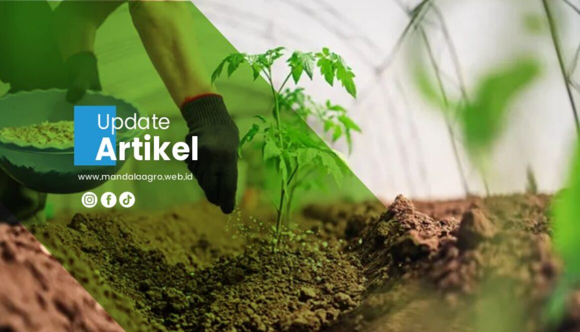 PT MANDALA AGRO MAS Artikel2